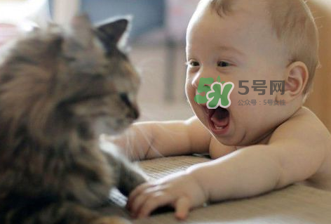 嬰兒被貓抓了怎么辦？嬰兒被貓咪咬了怎么辦？