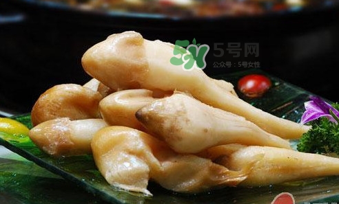 雞樅菌什么時(shí)候有？雞樅菌生長在什么地方