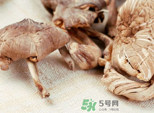 雞樅菌有毒嗎？雞樅菌不能和什么一起吃？