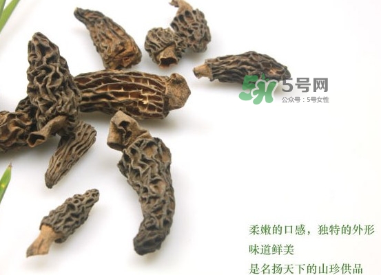 野生羊肚菌多少錢一斤？干羊肚菌多少錢一斤