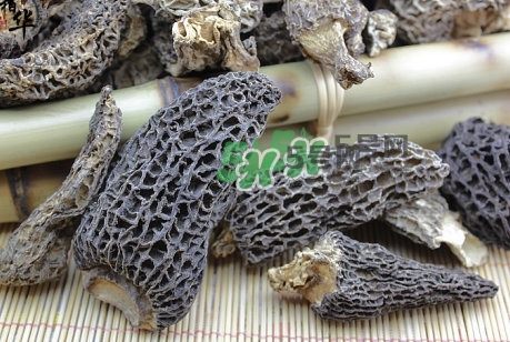 羊肚菌最大產(chǎn)地是哪兒？羊肚菌怎么泡發(fā)