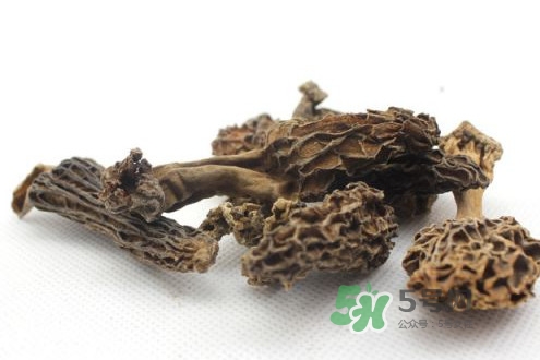 羊肚菌能治什么??？羊肚菌能冷凍保鮮嗎