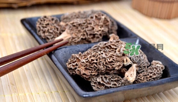 羊肚菌可以泡水喝嗎？羊肚菌可以燉鴿子嗎