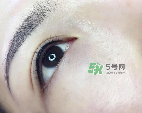 美瞳線有幾種款式？美瞳線有小尾巴嗎？