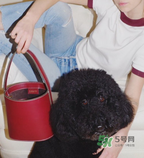 staud水桶包多少錢？staud水桶包專柜價(jià)格