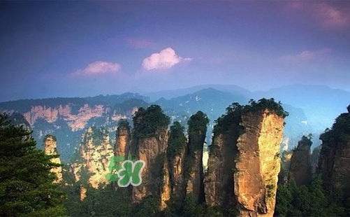 夏天去哪里旅游最好？夏天旅游哪里涼快？