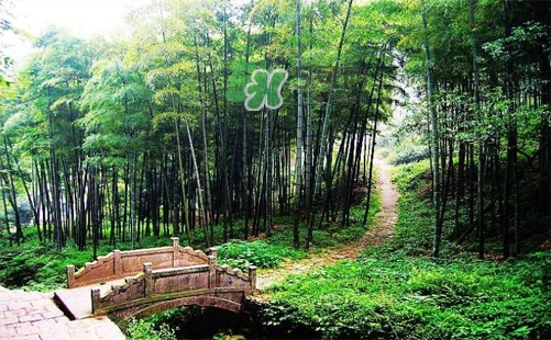 夏天去哪里旅游最好？夏天旅游哪里涼快？