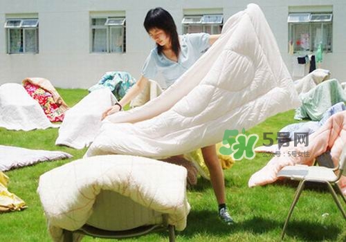 三伏天能曬被子嗎？三伏天曬被子好嗎？