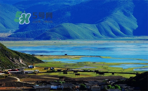 夏天去哪里旅游最好？夏天旅游哪里涼快？