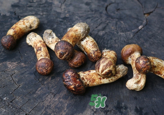 新鮮松茸怎么吃？松茸怎么吃最有營養(yǎng)