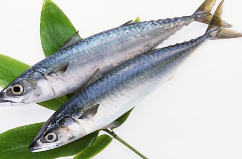 鳡魚吃什么？翹嘴魚和鳡魚有什么區(qū)別
