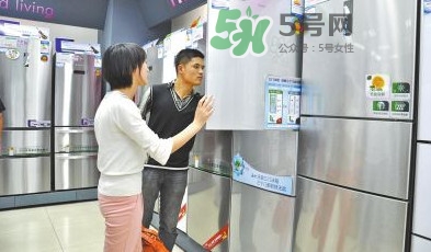 冰箱究竟該買幾個(gè)門的？什么牌子的冰箱最好