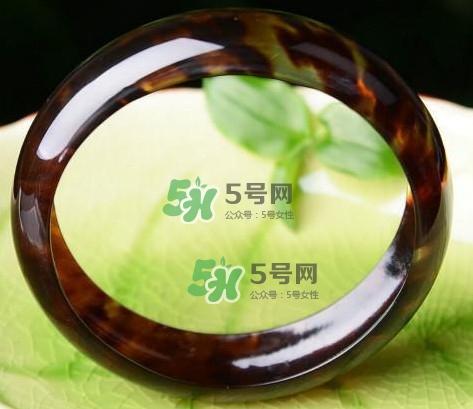 玳瑁是什么？玳瑁是國(guó)家保護(hù)動(dòng)物嗎？