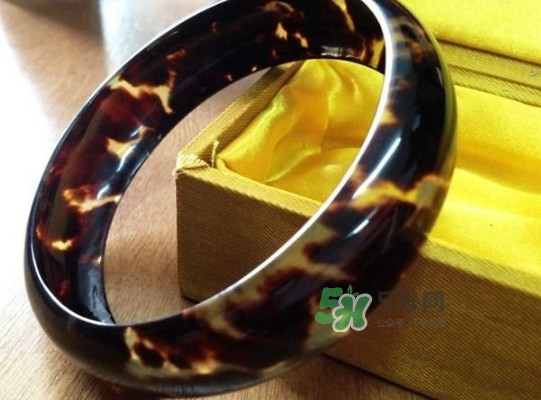 玳瑁標(biāo)本有收藏價(jià)值嗎？玳瑁的功效與作用