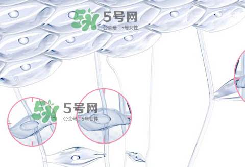 嬌韻詩青春賦活兩件套裝多少錢？嬌韻詩全新青春賦活系列怎么樣？