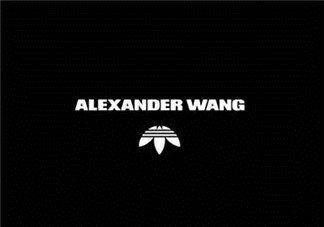 adidas originals by alexander wang聯(lián)名系列在哪買(mǎi)_怎么買(mǎi)？