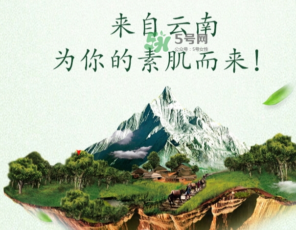采之汲是什么牌子？采之汲是什么檔次？