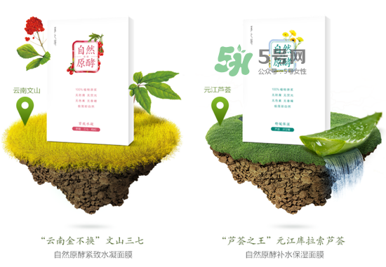 采之汲自然原酵面膜怎么用？采之汲自然原酵面膜使用心得
