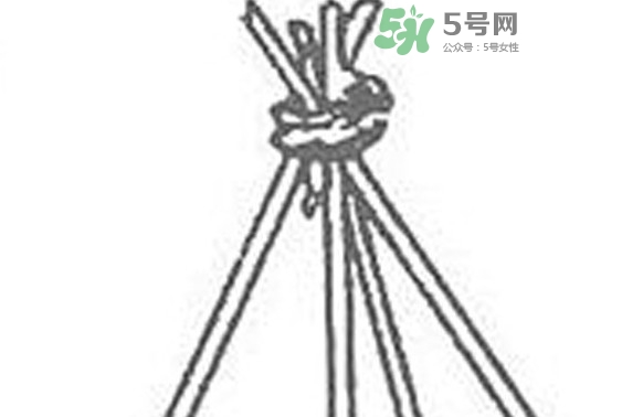 缸豆什么時候搭架？缸豆要怎樣搭架子