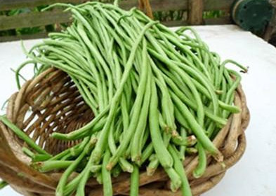 缸豆多少錢一斤2017？缸豆能和韭菜一起吃嗎？