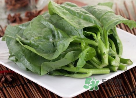 木耳菜和什么食物相克？木耳菜不能和什么一起吃