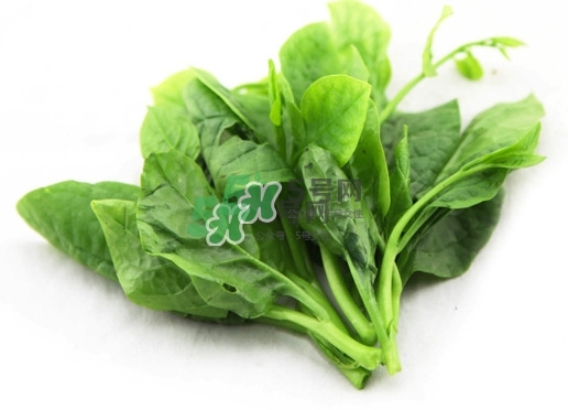 木耳菜怎么清洗？木耳菜怎么擇？
