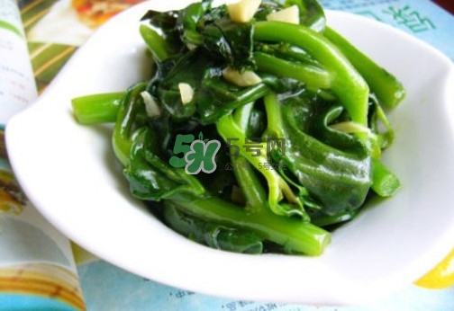 木耳菜是什么季節(jié)的菜？木耳和木耳菜有區(qū)別嗎
