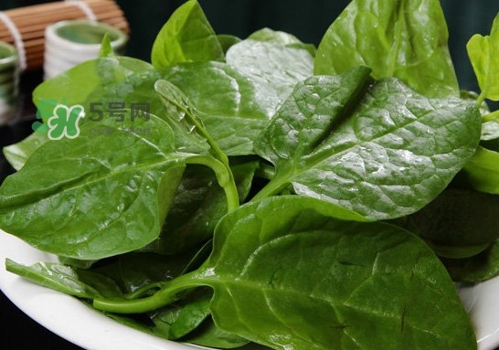 木耳菜可以生吃嗎？木耳菜可以涼拌嗎