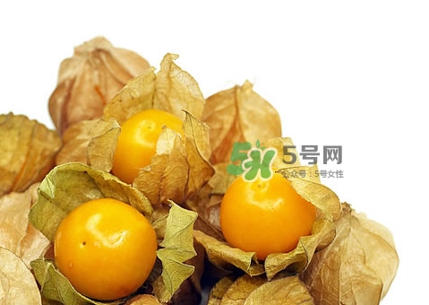 姑娘果怎么挑選？姑娘果產(chǎn)地在什么地方
