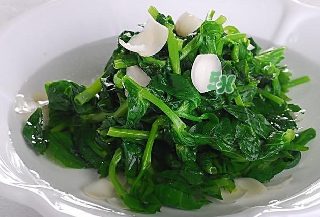 木耳菜是什么菜？木耳菜對人有哪些好處？