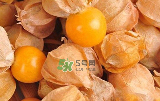 姑娘果怎么挑選？姑娘果產(chǎn)地在什么地方