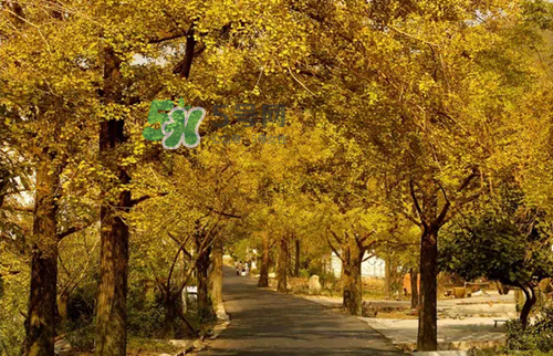 9月份去浙江穿什么？九月份去浙江穿什么衣服