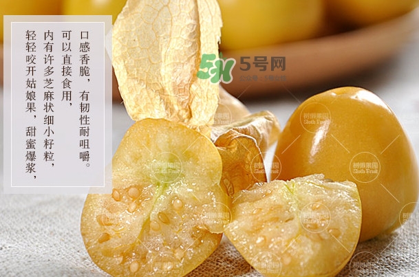 菇娘是寒性還是熱性？菇娘是哪里產(chǎn)的
