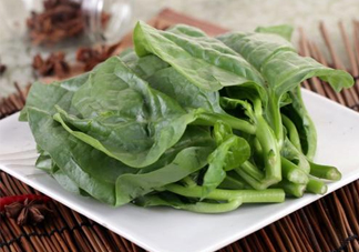 木耳菜和什么食物相克？木耳菜不能和什么一起吃