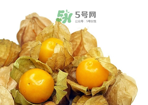 姑娘果可以放冰箱嗎？姑娘果可以放多久