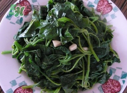 野莧菜有毒嗎？野莧菜怎么吃
