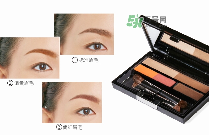 ipsa五色眉粉怎么用？ipsa茵芙莎五色眉粉使用方法