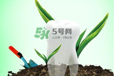 種植牙多少錢一顆？為什么種植牙很貴