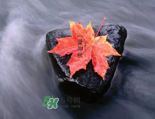 2017早立秋還是晚立秋？早立秋和晚立秋的區(qū)別
