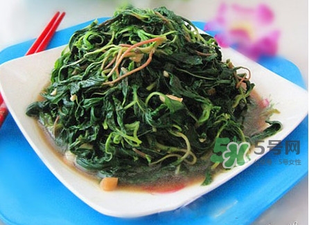 野莧菜怎么做好吃？野莧菜怎么保存