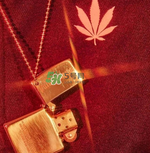 palm angels是什么牌子_哪個(gè)國(guó)家的_什么檔次？