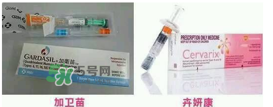 hpv疫苗9價(jià)4價(jià)2價(jià)有什么區(qū)別？hpv疫苗三款應(yīng)該怎么選？