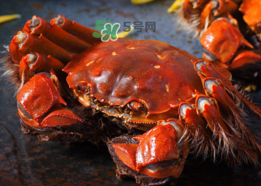 2017年陽(yáng)澄湖大閘蟹多少錢(qián)一斤？2017陽(yáng)澄湖大閘蟹價(jià)格