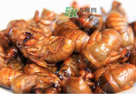 立秋后的知了還能吃嗎？立秋還有知了猴嗎？