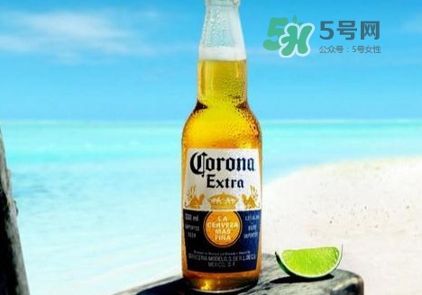 科羅娜啤酒多少錢一瓶？科羅娜啤酒好喝嗎