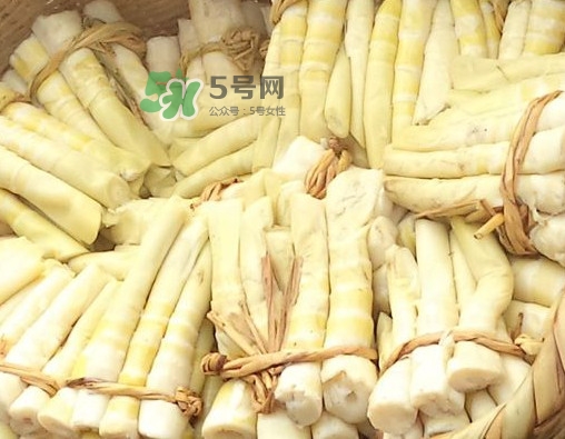 苦筍做法有哪些？苦筍怎么處理才不會(huì)苦
