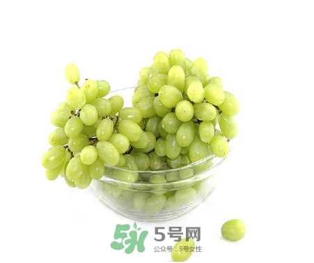 馬奶葡萄是提子嗎？馬奶葡萄怎么洗？