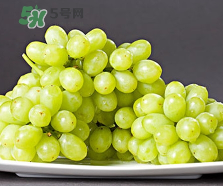 馬奶葡萄是只有新疆有嗎？綠馬奶葡萄為什么發(fā)澀