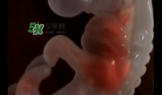 懷孕初期怎么保胎？陰道出血是流產(chǎn)征兆嗎？