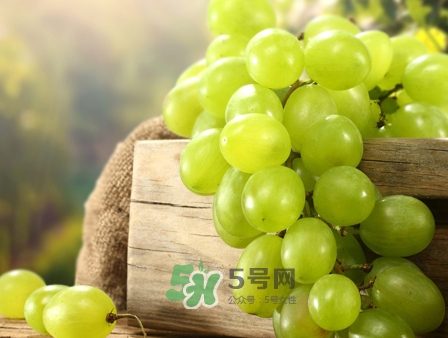 馬奶葡萄幾月成熟？吃馬奶葡萄有什么好處？